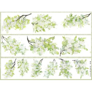 Tree Branches 17 PET tape