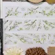 Tree Branches 21 PET tape