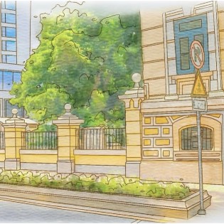 Colourful Memory Walk PET tape