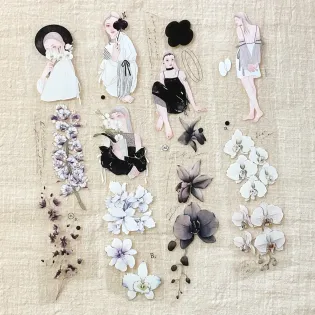 Loi design Monochrome miss orchid PET Tape