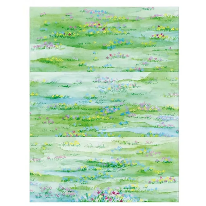 Grassland Dark Green WASHI tape