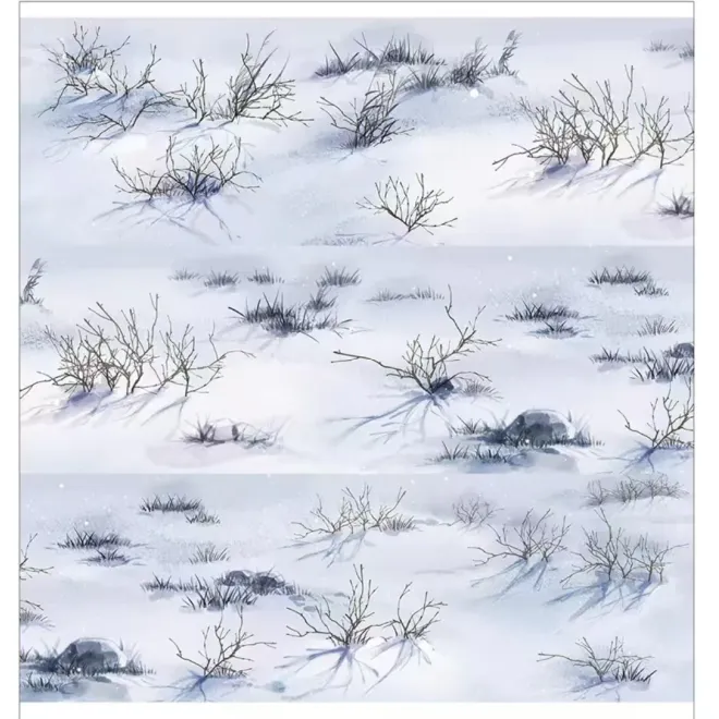 Snow Field WASHI tape