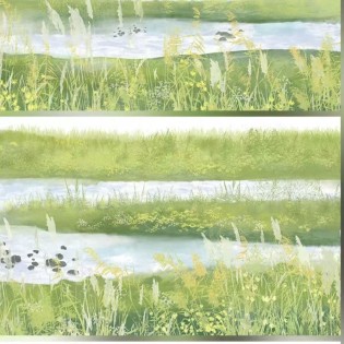 Green Grass Shore PET tape