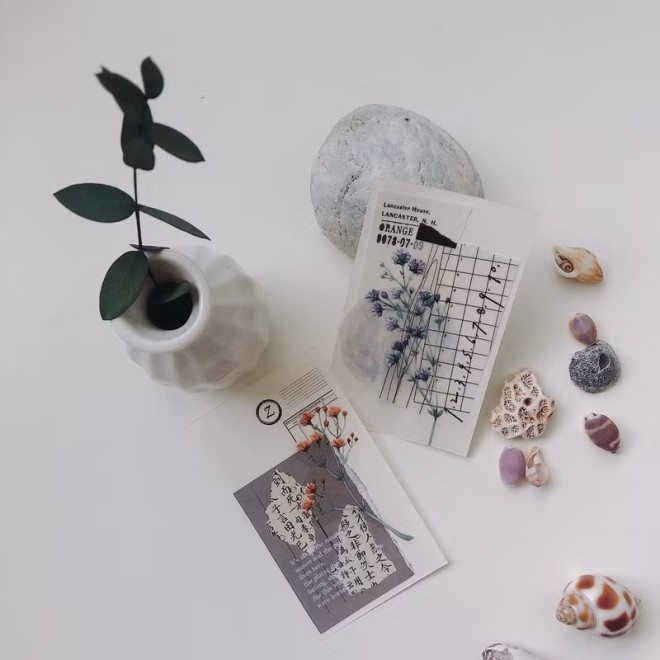 Loi Design Gypsophila Flower PET Tape