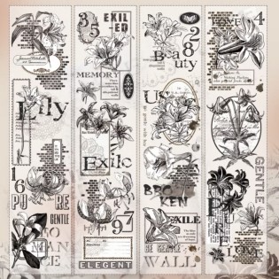 Shadow Lilly PET tape