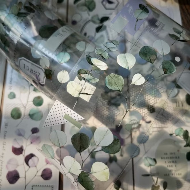 Eucalytus Leaf PET tape